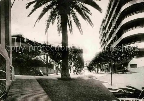 Alger Algerien Boulevard Victor Hugo