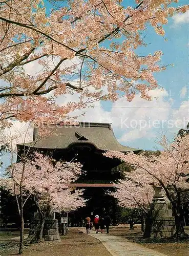 Japan Kencho ji Temple Kat. Japan
