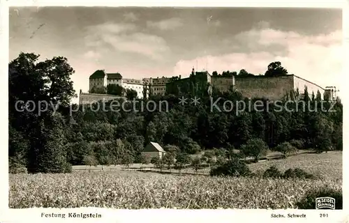 Foto Seidel M. Schmilka Nr. 201 Festung Koenigstein Saechsische Schweiz  Kat. Bad Schandau