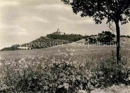 Holzhausen Wachsenburggemeinde Blick ueber die Felder zur Wachsenburg Kat. Wachsenburggemeinde