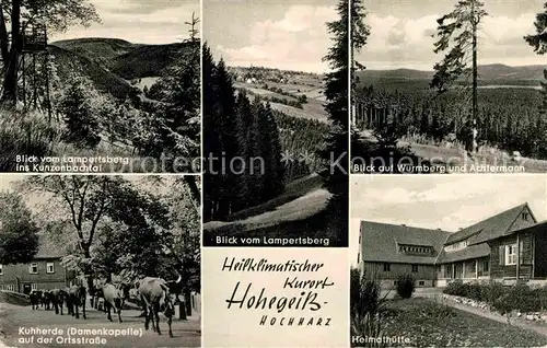 Hohegeiss Harz Lampertsberg Heimathuette Wurmberg Achtermann Damenkapelle Kat. Braunlage