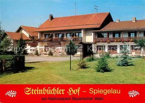 Spiegelau Steinbuechler Hof  Kat. Spiegelau
