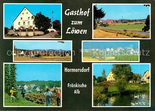 Hormersdorf Mittelfranken Gasthaus zum Loewen Panorama Stadtansichten  Kat. Schnaittach