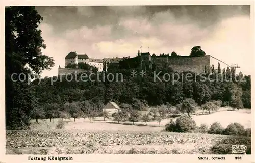 Foto Seidel M. Schmilka Nr. 201 Festung Koenigstein Saechsische Schweiz  Kat. Bad Schandau