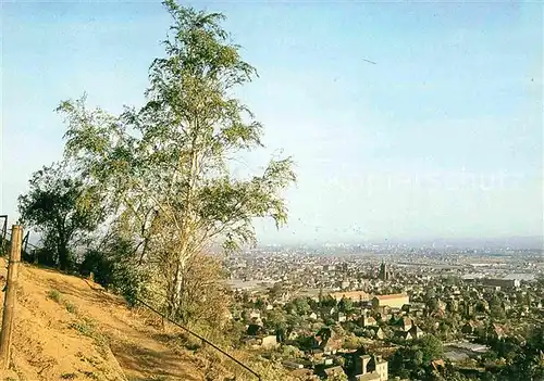 Radebeul Panorama Kat. Radebeul