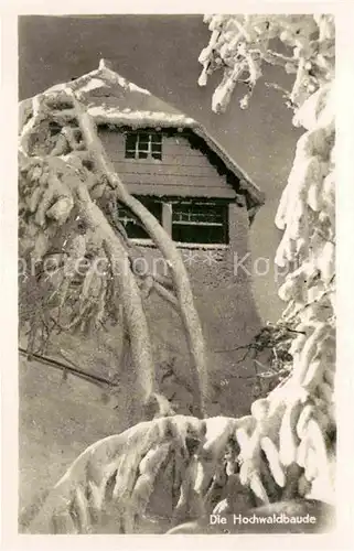 Zittau Zittauer Gebirge Hochwaldbaude Winter Kat. Zittau