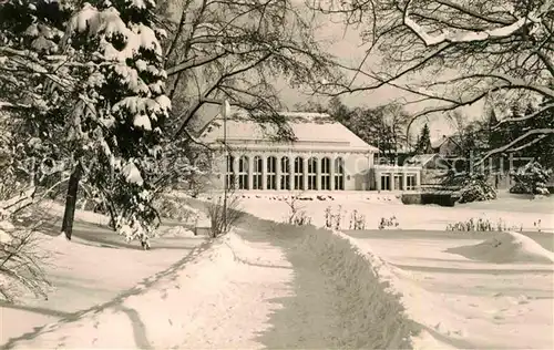 Bad Brambach Park mit Festhalle Kat. Bad Brambach