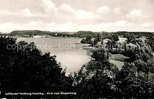 Feldberg Mecklenburg Luftkurort Panorama Ziegenberg Kat. Feldberger Seenlandschaft