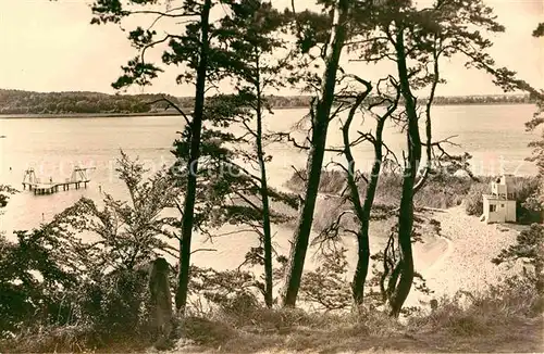 Waren Mueritz Seebad Ecktannen Kat. Waren Mueritz