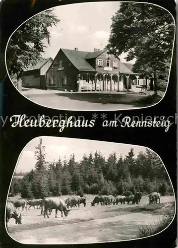 Rennsteig Heuberghaus Rinderherde Kat. Neuhaus Rennweg