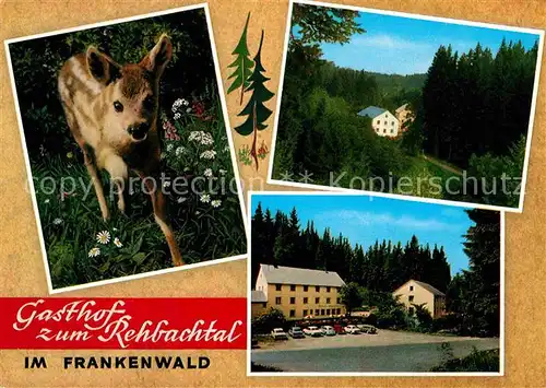 Grafengehaig Gasthof zum Rehbachtal Frankenwald Rehkitz Kat. Grafengehaig