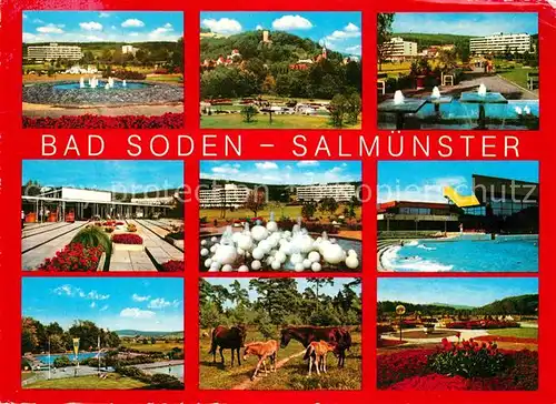 Salmuenster Bad Soden Thermalbad Heilbad im Kinzigtal Kurpark Pferde Kat. Bad Soden am Taunus