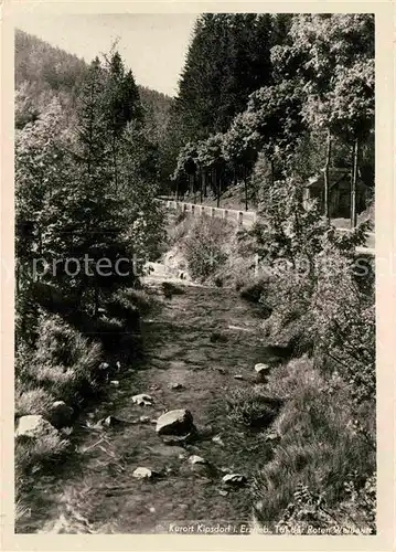 Kipsdorf Tal der Roten Weisseritz Kat. Altenberg