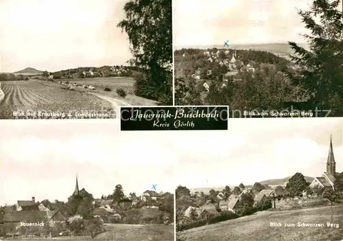 Jauernick Buschbach Kreuzberg Landeskrone Blick vom Schwarzen Berg Teilansichten Kirche Kat. Goerlitz