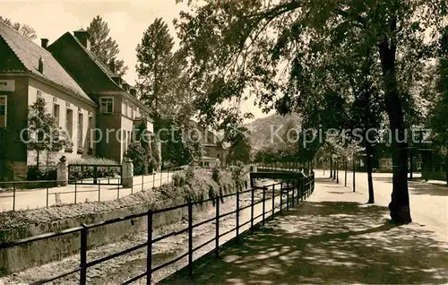 Berggiesshuebel Clubhaus und Allee Bachlauf Kat. Bad Gottleuba Berggiesshuebel