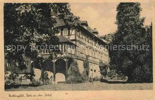 Stadtlengsfeld Partie am alten Schloss Kat. Stadtlengsfeld