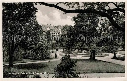 Freiberg Sachsen Blick in den Scheringer Park Kat. Freiberg