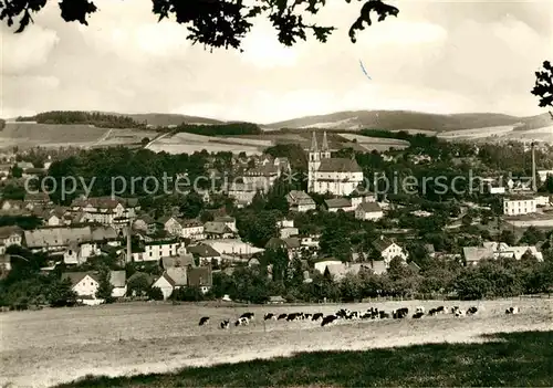 Schirgiswalde Ortsansicht mit Kirche Viehweide Kuehe Kat. Schirgiswalde