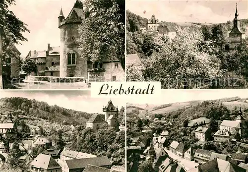 Liebstadt Teilansichten mit Schloss Kuckuckstein und Kirche Kat. Liebstadt