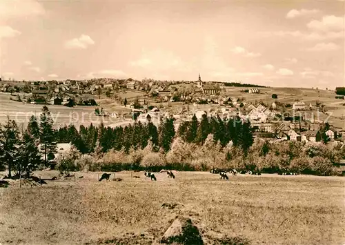 Joehstadt Panorama Kat. Joehstadt