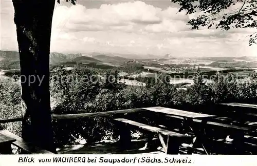 Saupsdorf Panorama Blick vom Wachberg Handabzug Kat. Kirnitzschtal