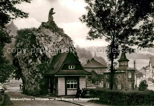 Ruebeland Harz Hoehlenbaer vor dem Eingang zur Hermannshoehle