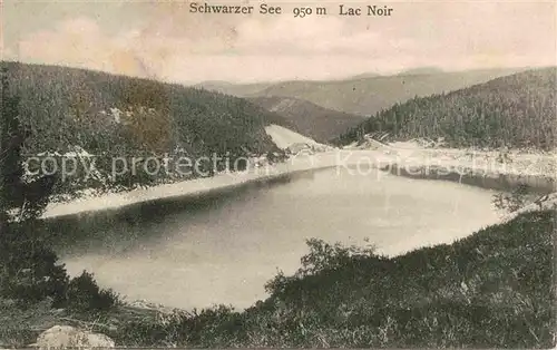 Lac Noir Alsace Schwarzer See Vogesen