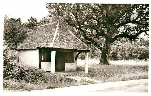 Bard le Regulier Chapelle des Bois de Bar Kat. Bard le Regulier