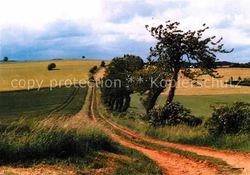 Vezelay Paysage Landschaftspanorama Kat. Vezelay