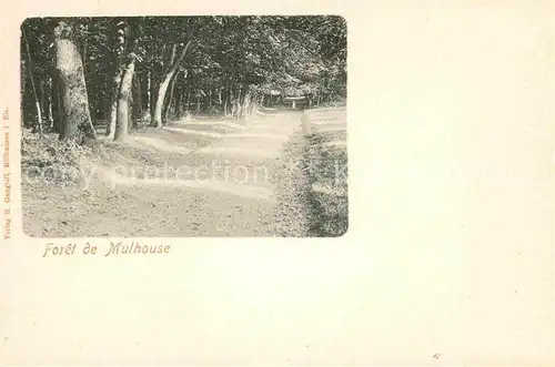 Mulhouse Muehlhausen Foret  Kat. Mulhouse