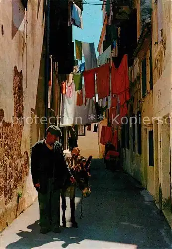 Corfu Korfu Altstadt Esel Kat. Griechenland