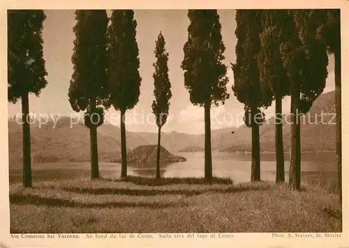 Varenna Partie am Comersee Pappeln Kat. Lago di Como