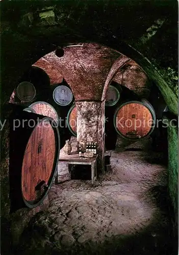 Neustift Brixen Suedtirol Stiftskeller Kat. Bressanone