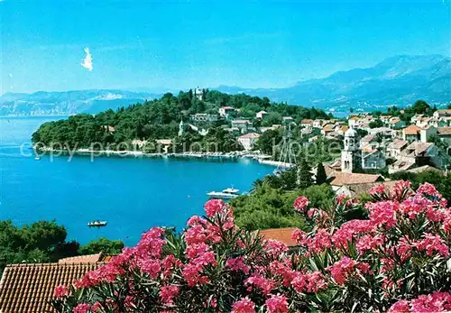 Cavtat Dalmatien Panorama Kat. Kroatien