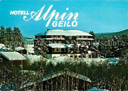 Geilo Hotel Alpin Kat. Norwegen