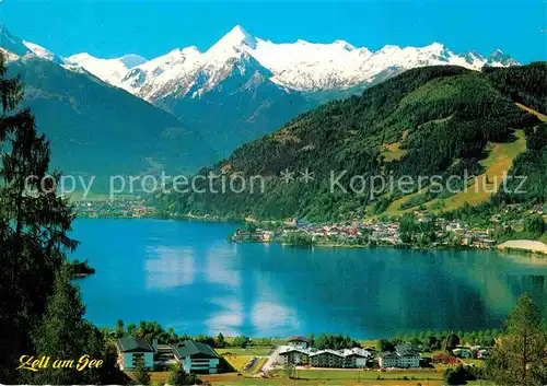 Zell See mit Kitzsteinhorn Kat. Zell am See