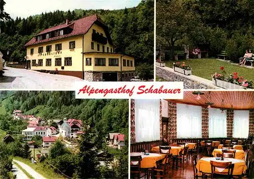 Trattenbach Alpengasthof Schabauer Kat. Trattenbach am Wechsel