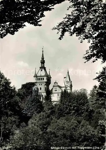 Taegerwilen Schloss Kat. Taegerwilen