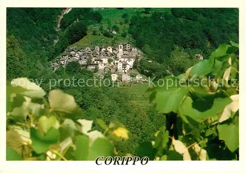 Corippo Luftaufnahme Kat. Corippo