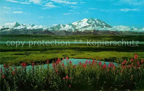 Mount McKinley Alaska McKinley National Park Kat. 