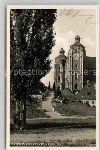 Ingolstadt Donau Blick zum Dom Kat. Ingolstadt