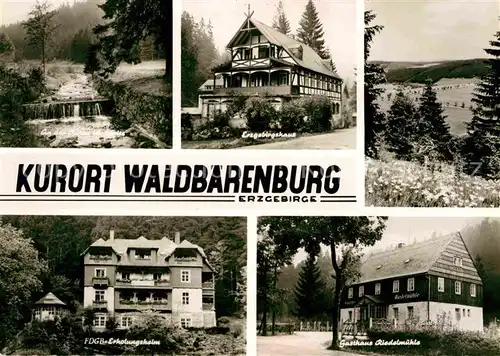 Waldbaerenburg Erzgebirghaus Restaurant Riedelmuehle Erholungsheim Kat. Altenberg