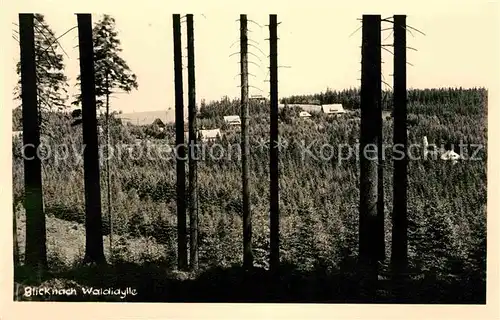 Waldidylle  Kat. Altenberg