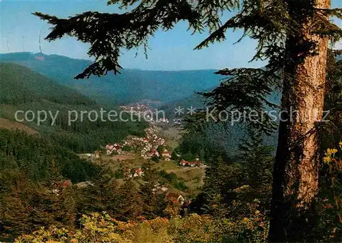 Bad Herrenalb Panorama Blick ins Gaistal Schwarzwald Kat. Bad Herrenalb