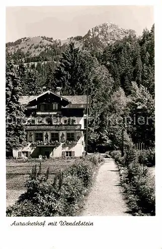 Bayrischzell Auracherhof mit Wendelstein Kat. Bayrischzell