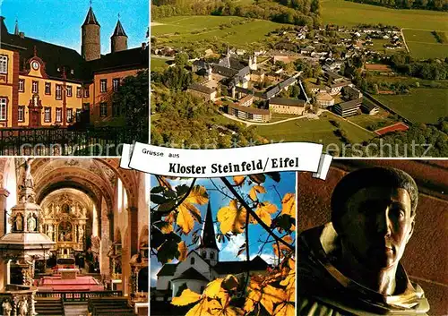 Steinfeld Pfalz Kloster  Kat. Steinfeld