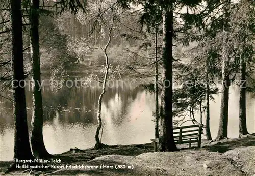 Friedrichsbrunn Harz Bergrat Mueller Teich  Kat. Friedrichsbrunn