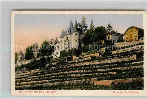 Neustadt Haardt Haardter Schloesschen Kat. Neustadt an der Weinstr.