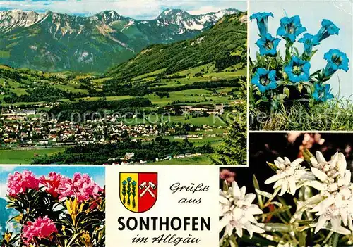 Sonthofen Oberallgaeu Gesamtansicht mit Alpenpanorama Alpenflora Blauer Enzian Edelweiss Wappen Kat. Sonthofen