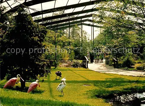 Walsrode Lueneburger Heide Vogelpark Freiflughalle Kat. Walsrode